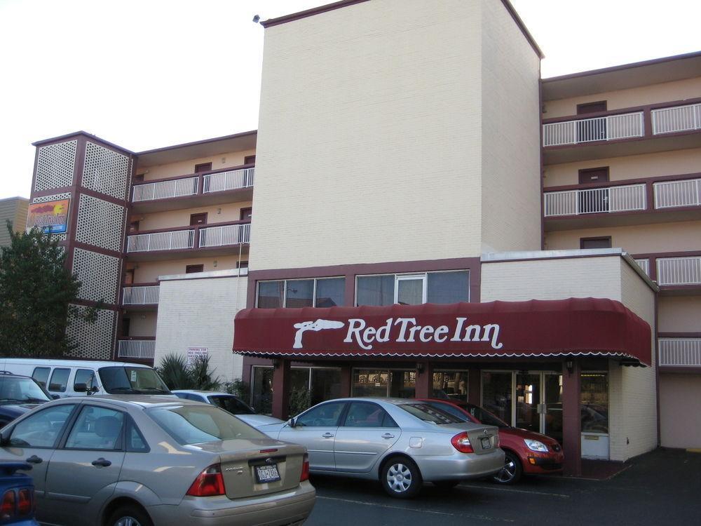 Oasis Hotel Север Миртл Бич Экстерьер фото